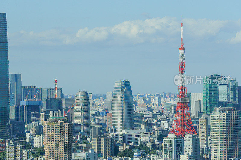 东京天际线的屋顶景观