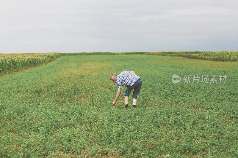 农业小型企业