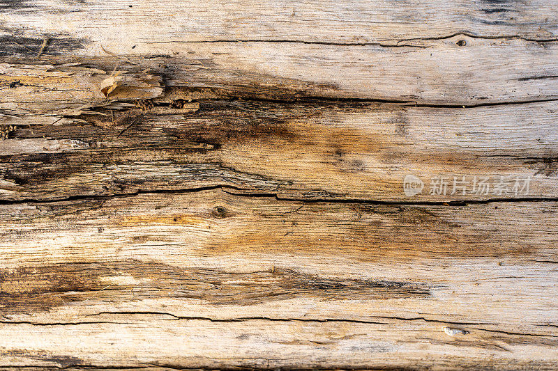 古色古香的棕色木门背景纹理