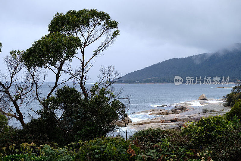 塔斯马尼亚州比契诺的岩石海岸