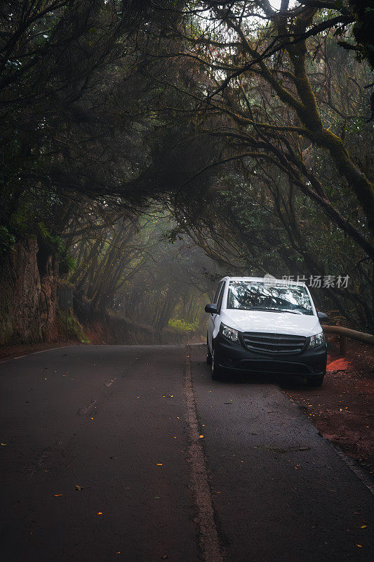 这辆车停在特内里费岛阿纳加山区的月桂林中的路上。加那利群岛的常绿森林和道路。