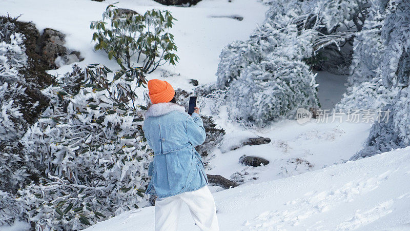 一个女人在寒冷的天气里穿行于白雪覆盖的山林之中