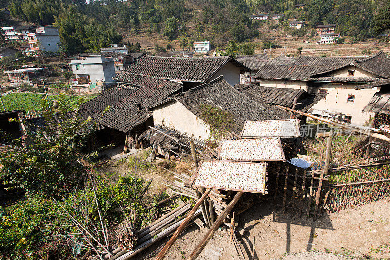 中国古代村落里的房屋和干萝卜。