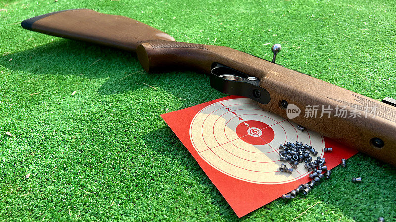 气枪的图像，弹丸和目标在绿色背景上。