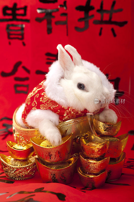 新年,兔子,金元宝