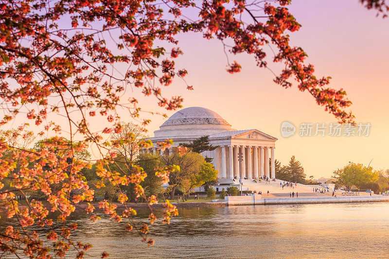 在华盛顿的樱花节期间杰斐逊纪念堂