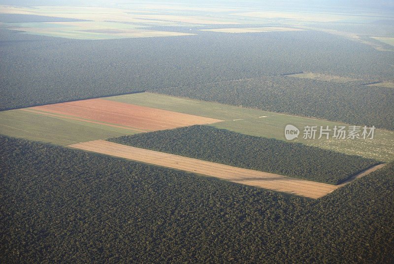 从空气中砍伐亚马逊森林