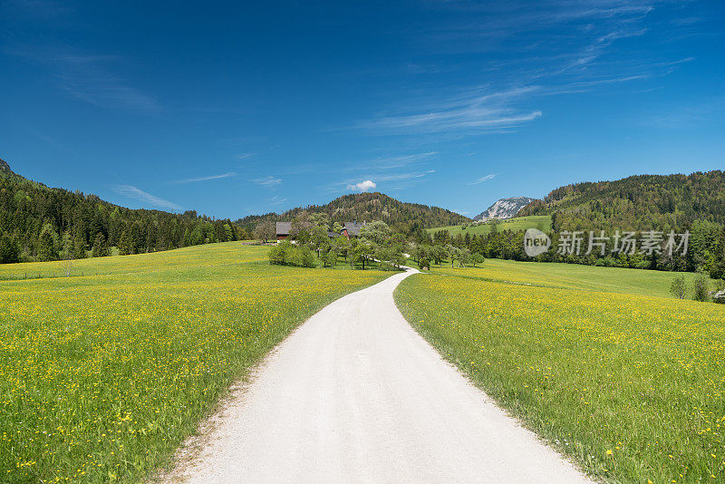 乡村公路，夏季景观，奥地利阿尔卑斯山，施泰尔马克，坏澳洲