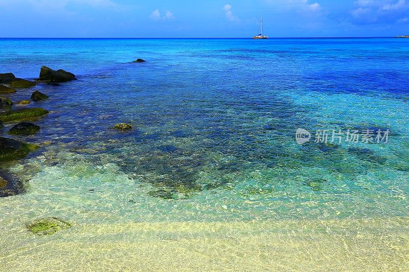 阿鲁巴天堂:绿松石半透明的废弃海滩和船-加勒比海安的列斯群岛