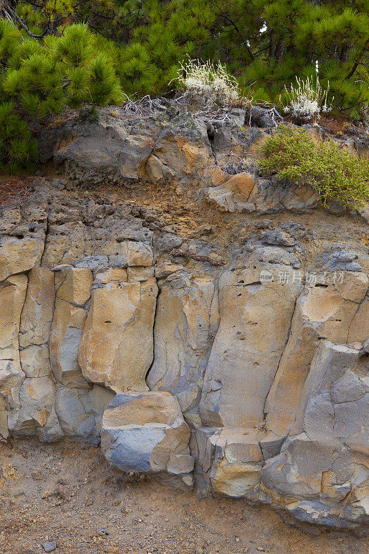 Teide自然公园的玄武岩柱