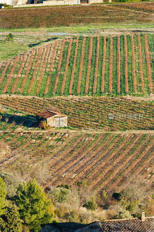 从法国村庄Gordes看到沃克鲁兹的葡萄园