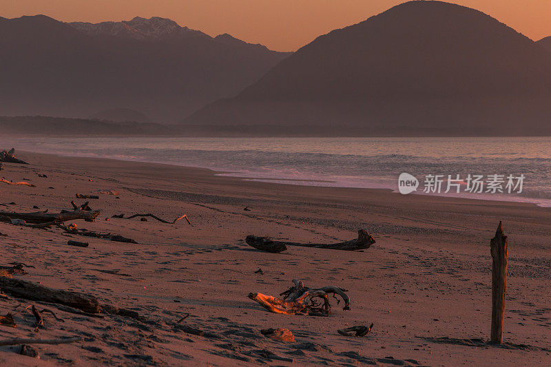 哈斯特海滩上的浮木