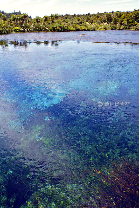 蒲浦温泉，金湾，新西兰