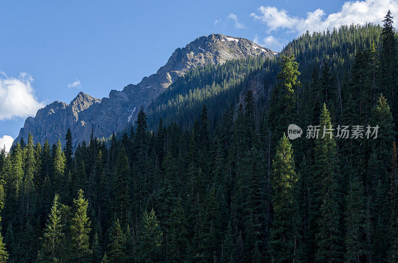 崎岖的山峰从森林中升起