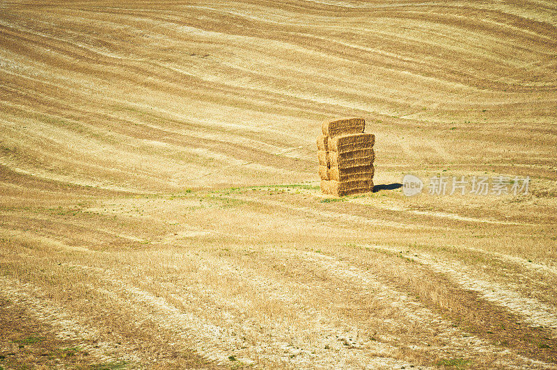 托斯卡纳的田野里的方形干草捆