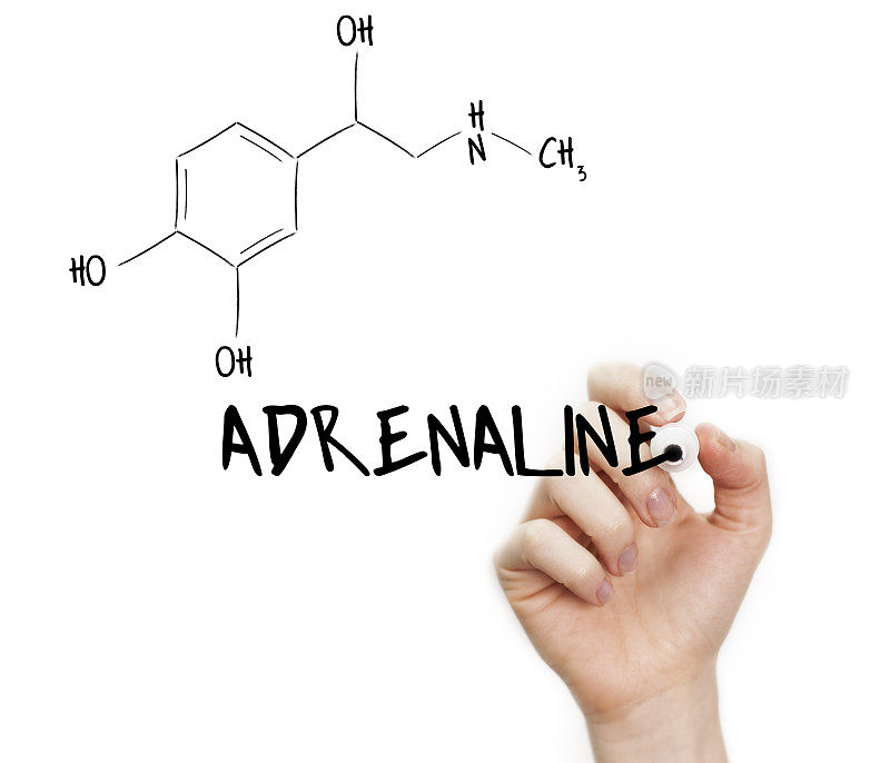 肾上腺素公式概念的能量和兴奋