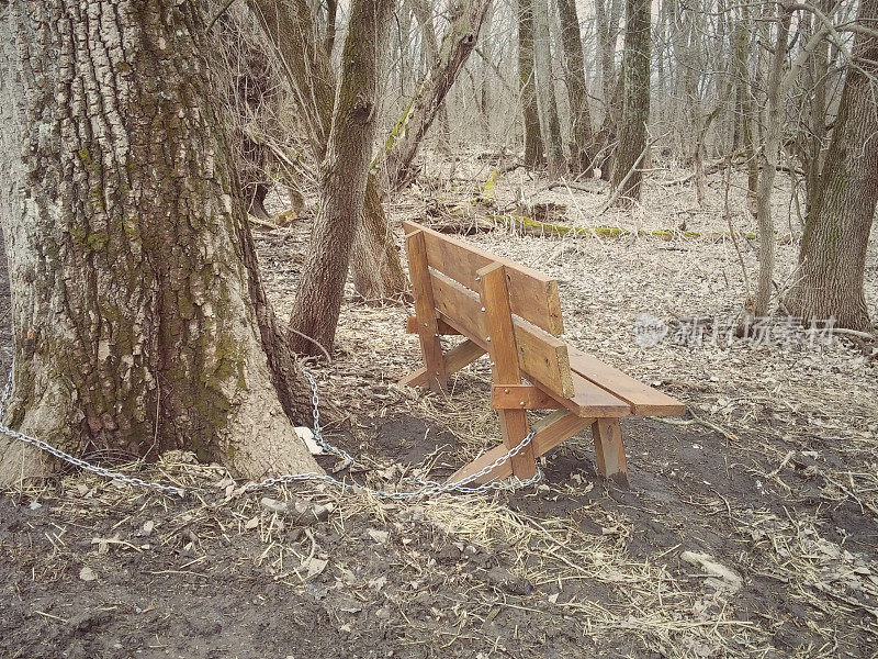 拴在森林树上的长凳，纽约自然保护区