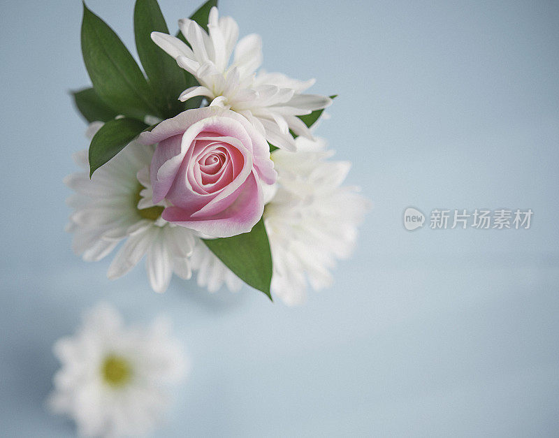 充满活力的母亲节花束与玫瑰和白色的大丽花