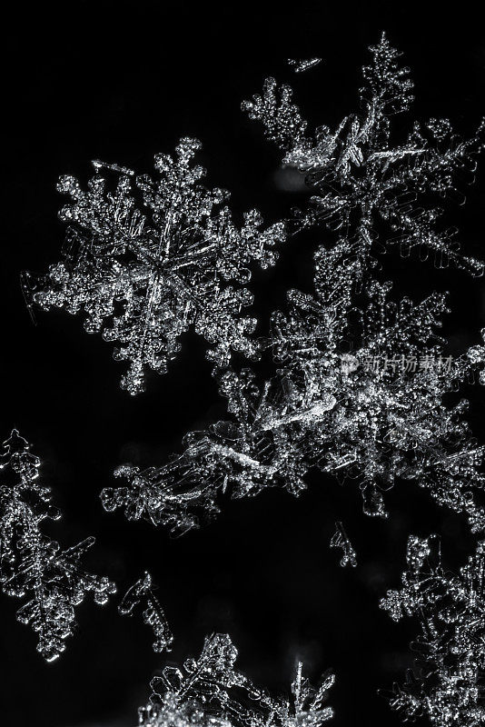 雪花在黑色的背景上堆积起来