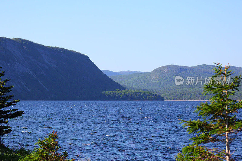 纽芬兰山景