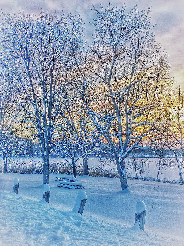 日落黄昏蓝色的光公园设置，柯林斯湖，斯克内克塔迪，纽约