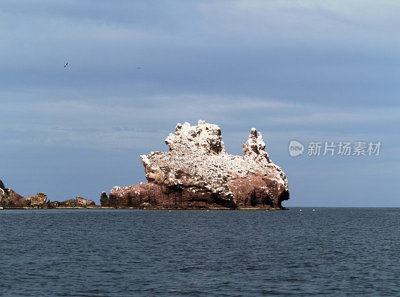 墨西哥拉巴斯，鸟粪鸟居岛