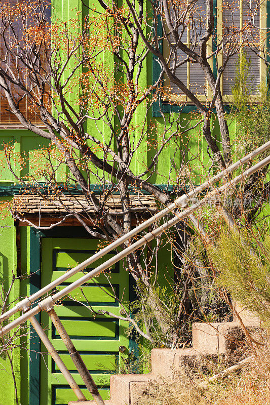 小屋家台阶栏杆海棠树