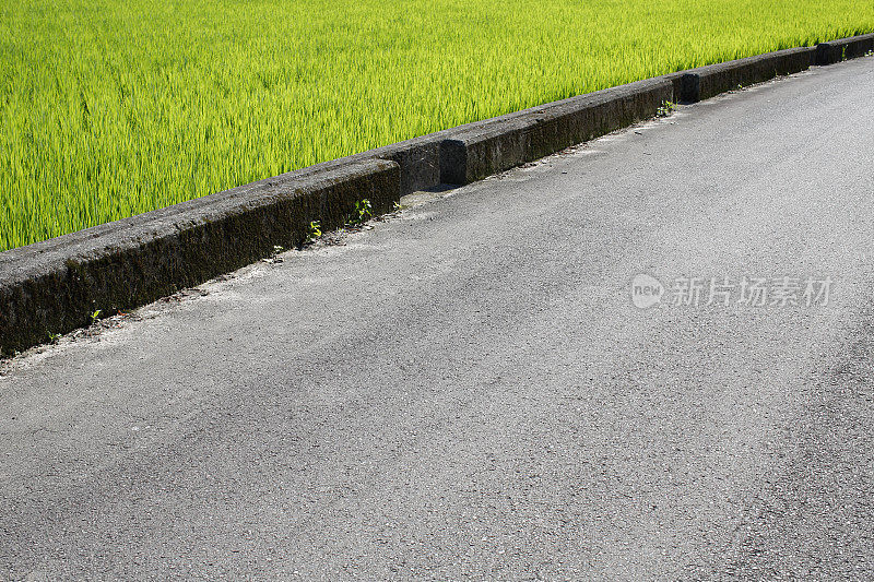 柏油路和绿色稻田