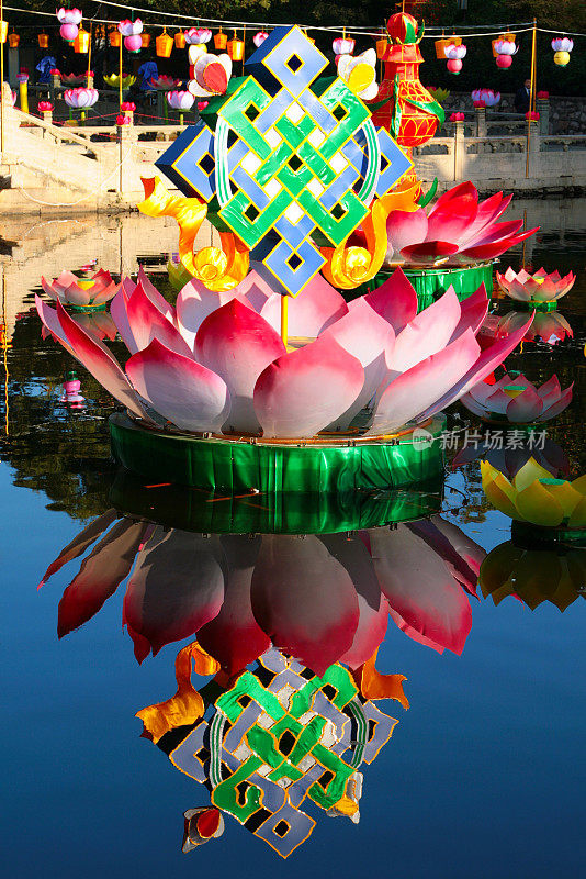 中国浙江省普陀山岛湖上的莲花和无尽的结，是佛教节日装饰