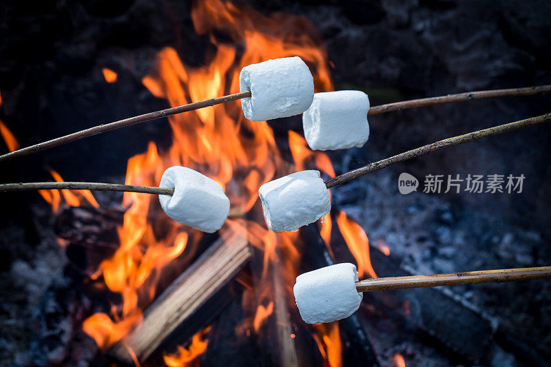 美味又甜的棉花糖串在篝火上