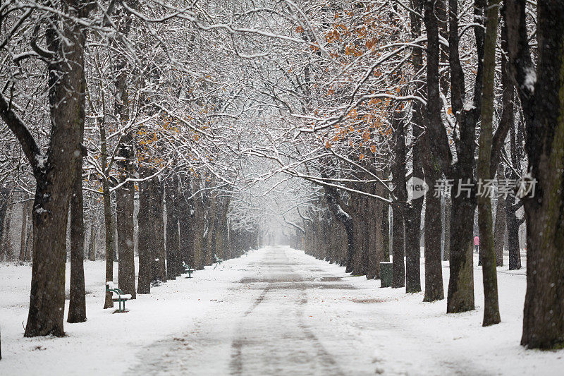 四季-小巷在冬天与雪