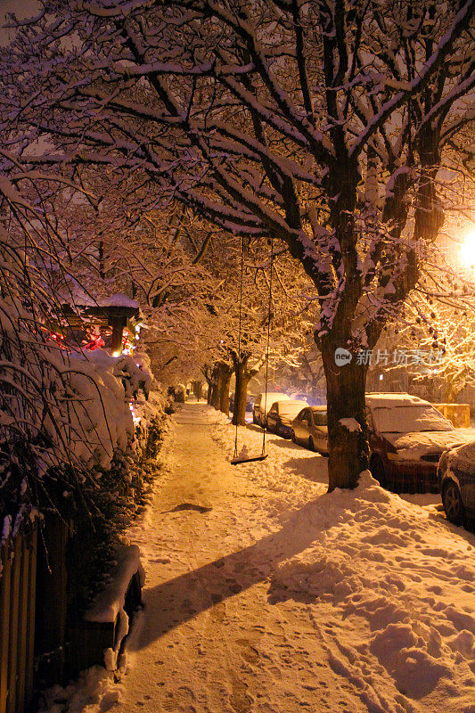 在雪中摇摆