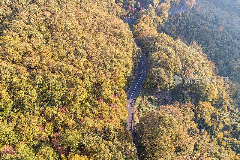 弯弯曲曲的路穿过秋天的森林