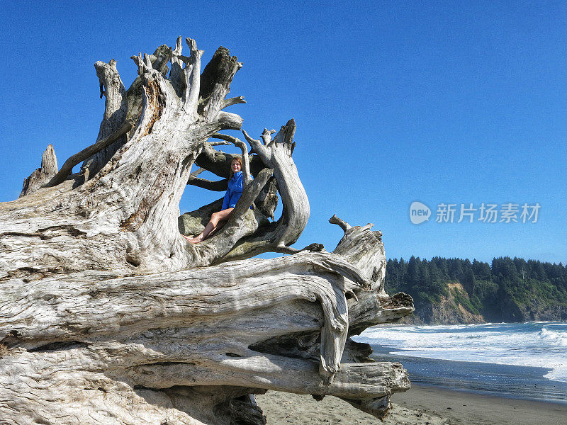 海滩女孩爬上正在分解的大树根，华盛顿