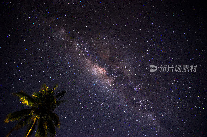 印度尼西亚棕榈树后的银河