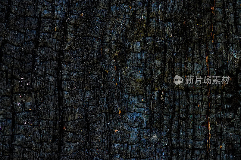 黑色的木质表面背景。暗灰和煤渣表面。