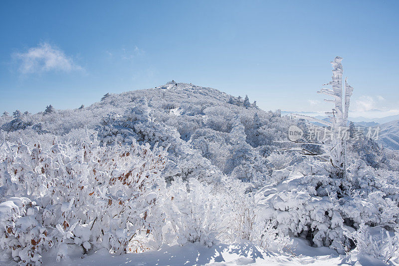 冬季山霜冰