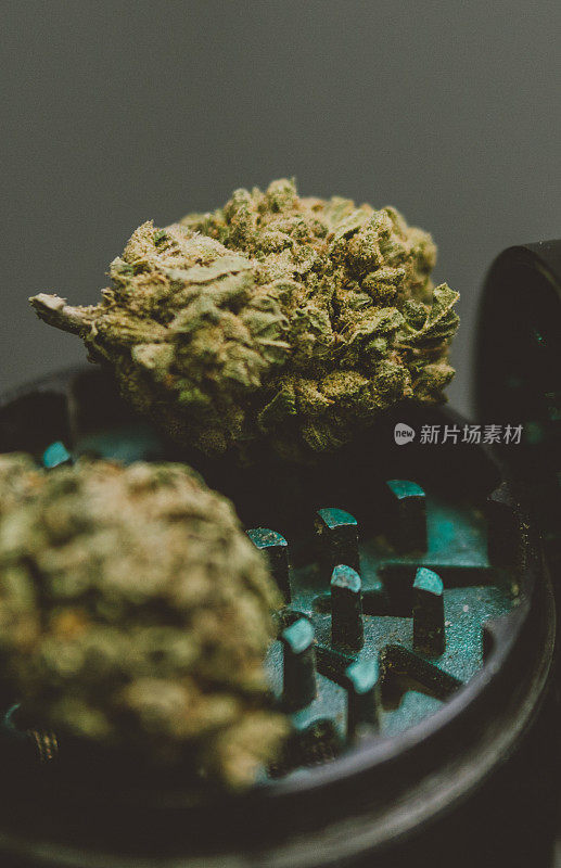 详细的大麻芽(库什)在玻璃背景-医用大麻药房的概念。社交insta大小的故事