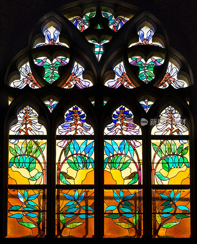 波兰克拉科夫圣方济会教堂的新艺术彩色玻璃窗