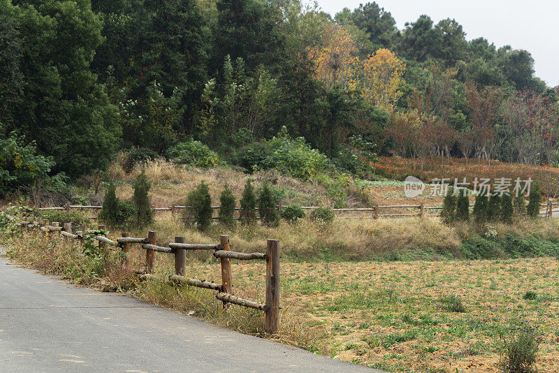 木栅栏和乡村道路