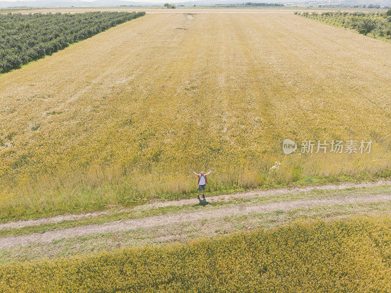 初夏，一个成年的农民张开双臂，站在他丰富的金黄色小麦农田旁。鸟瞰图。