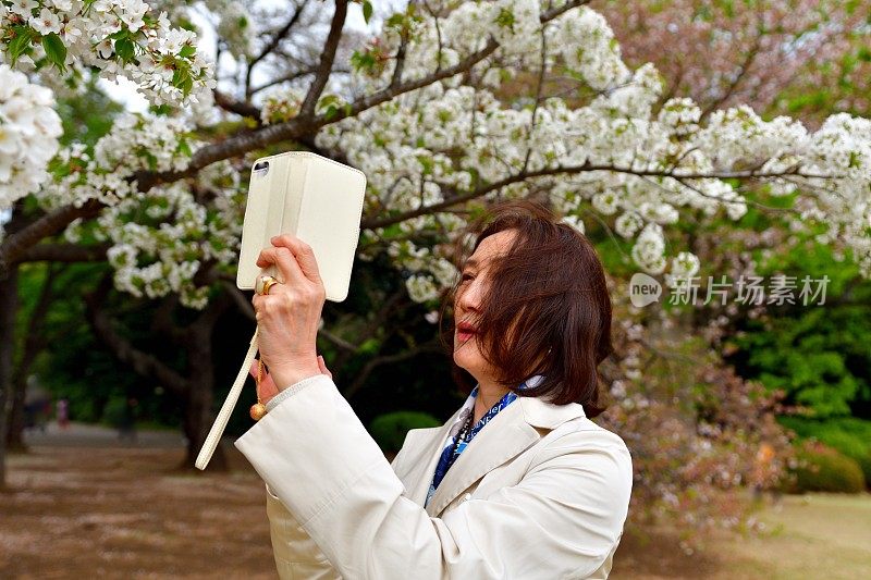 日本女子在东京赏樱花