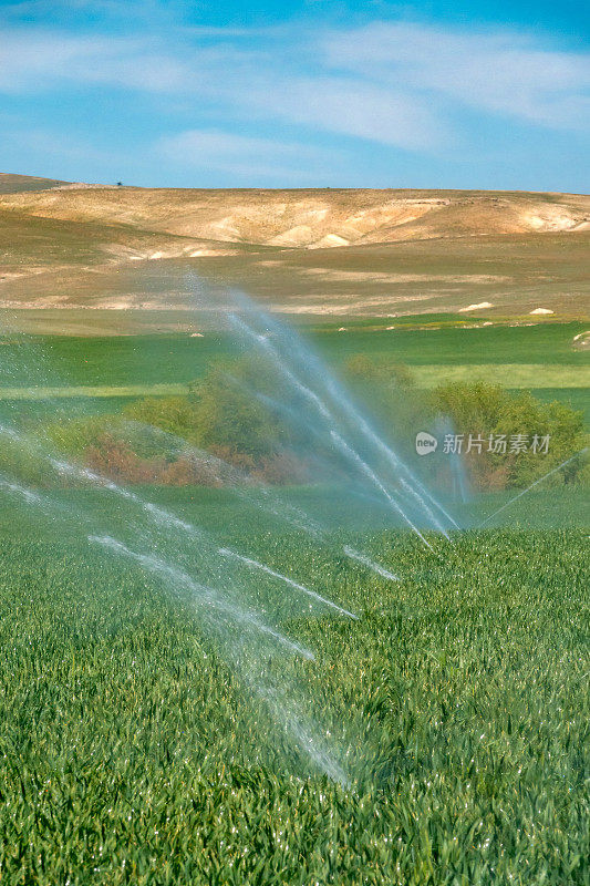 用洒水系统犁地浇水