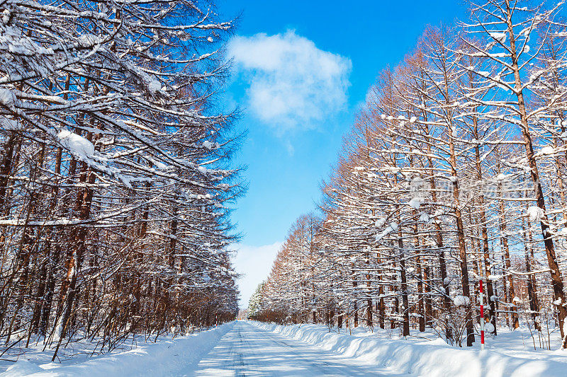 结冰的道路，北海道，日本