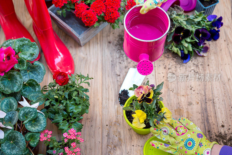 园艺工具:喷壶、花、手套、铁锹、土壤。在春园概念布局中融入自由文本空间。
