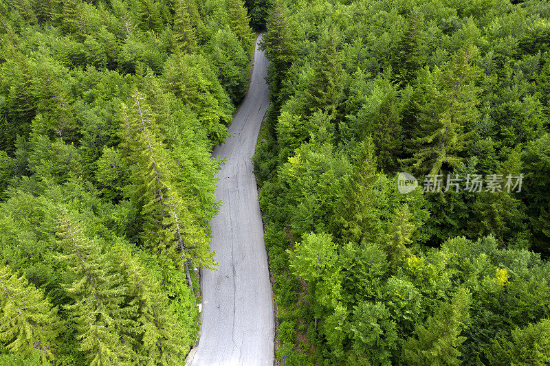 森林中道路的鸟瞰图