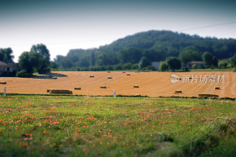 来自法国乡村的景色-干草包点缀风景