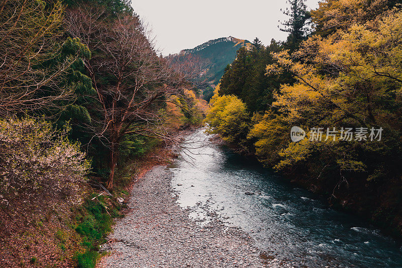 日本的怀旧谷