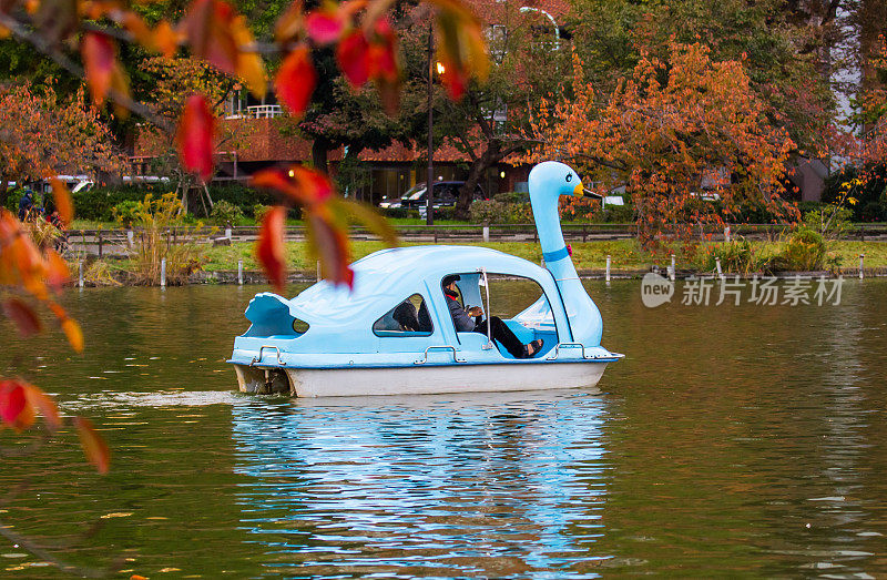 秋天的上野公园