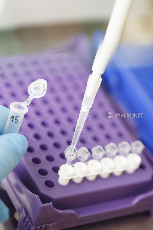 实验室里的医学研究在实验室使用现代设备处理医学样本的科学家。实验室医疗设备用于分析的医疗设备。血液检测冠状病毒(COVID-19)。